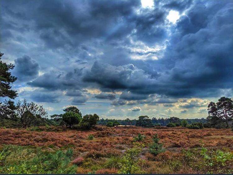 5 Sterren Guesthouse De Drentse Droom, op unieke locatie! Echten  Buitenkant foto