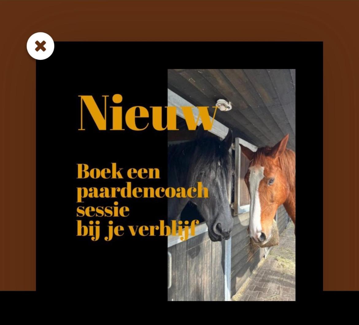 5 Sterren Guesthouse De Drentse Droom, op unieke locatie! Echten  Buitenkant foto